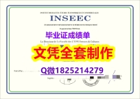 补办本科【法国英赛克高等商学院毕业证1:1学校原版学校仿】造假本科学位证书