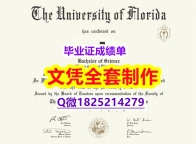 伪造研究生【美国佛罗里达大学毕业证材料缺失】办理学士学位证书