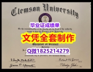 办理本科毕业证【美国克莱蒙森大学毕业证造假】办理国外学位证书价格
