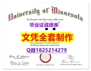 购买本科毕业证【美国明尼苏达大学罗切斯特分校毕业证找工作】伪造硕士学位证书