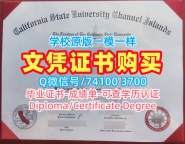 加急办理加州州立大学海峡群岛分校硕士学位证书|CSUCI电子版成绩单原版定制California State University Channel Islands Diploma