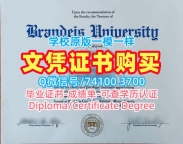 美国大学学位办理！制作布兰代斯大学电子版毕业证书美国Brandeis硕士文凭 Bachloer Degree