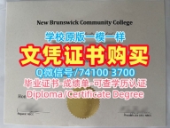 购买国外文凭学历认证书!官方认证新不伦瑞克社区学院学位证书加拿大NBCC学历证书 Bachelor Diploma