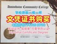 论文没过阿希尼伯因社区学院文凭证书|ACC在读证明信论文没过Assiniboine Community College admission letter