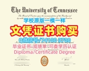 美国电子版成绩单高仿/田纳西大学诺克斯维尔分校本科毕业证荣誉学位证书哪里购买UTK学历证书 University of Tennessee, Knoxville Offer letter