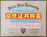 代办国外毕业证!哪里办理韦伯州立大学电子版毕业证书美国Weber State学历证书 Bachelor Diploma