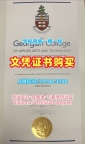 加拿大硕士文凭仿制|乔治亚学院本科毕业证原版复制|Georgian学位证书电子版做