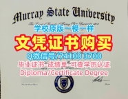 原版定做默里州立大学毕业证|Murray State毕业完成信出售Murray State University Bachelor Diploma