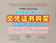 怎么办理纽约市立大学约克学院学历学位认证|York College学位证书仿制York College, City University of New York Offer