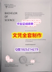 购买硕士学位证书【德国吉森大学毕业证改造】办理本科毕业证