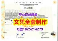 质量保证【法国里昂第三大学毕业证2019版】【留学毕业证】