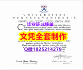 高级文凭证书【美国宾夕法尼亚大学毕业证2024版】购买本科毕业证