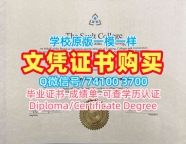 在线制作索尔特应用艺术与技术学院电子版毕业证书|Sault硕士文凭证书官方认证Sault College Diploma
