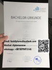 Frankfurt University of Applied Sciences Urkunde