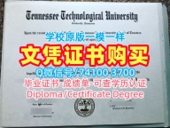 美国毕业完成信原版复刻/田纳西理工大学毕业证认证PDF版成绩单哪里办理Tennessee Tech本科文凭 Tennessee Technological University Degree