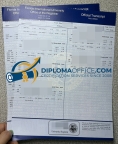 Make Florida International University transcript