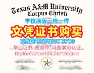 办理德克萨斯农工大学科珀斯克里斯蒂分校毕业证书|TAMU–CC硕士毕业证书永久可查Texas A&amp;amp;M University–Corpus Christi Academic Transcript