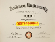 《诚招中介》《Auburn毕业证成绩单伪造】网上买毕业证靠谱吗?