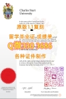 2026年做CSU毕业证成绩单
