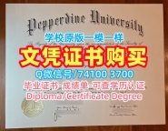 美国研究生文凭证书购买|佩珀代因大学电子版毕业证书在线购买|Pepperdine成绩单GPA修改如何办理