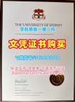 原版复制悉尼大学学位证|USYD电子版毕业证书学分不够University of Sydney Master Diploma