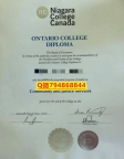 造假学士假学历《Niagara毕业证成绩单在哪里可以制作】办理硕士成绩单