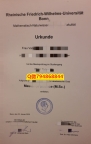 PDF格式成绩单《University of Bonn毕业证成绩单哪里有卖】补办硕士文凭证书