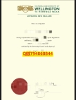 伪造本科毕业证《惠灵顿维多利亚大学毕业证成绩单全套】办留信网认证