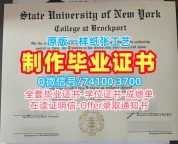 美国文凭证书如何购买|纽约州立大学布洛克波特学院毕业证书复印件存档可查|Brockport学位证书扫描件定制