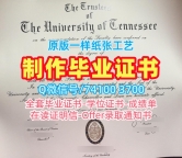 原版复刻田纳西大学查塔努加分校学位证书|UTC本科文凭证书快速办理University of Tennessee at Chattanooga Bachelor Diploma