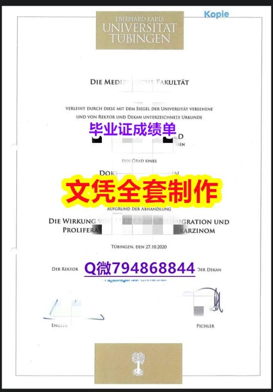 学历证书编号 留学生《Tüebingen U学位证书留信网认证】造假本科毕业证 学历证书编号 留学生《Tüebingen U学位证书留信网认证】造假本科毕业证