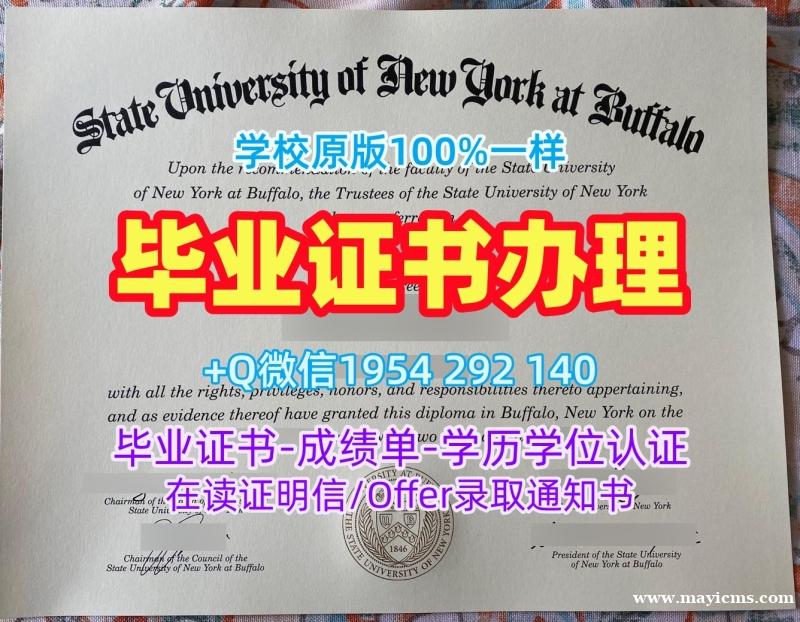 西班牙UPF毕业证书PDF电子版庞培法布拉大学文凭学位证书高仿全攻略Universidad Pompeu Fabra Bachelor Diploma 西班牙UPF毕业证书PDF电子版庞培法布拉大学文凭学位证书高仿全攻略Universidad Pompeu Fabra Bachelor Diploma