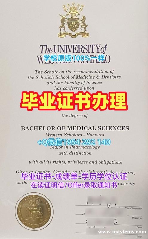 五个常见的九州大学毕业证电子图Kyushu本科文凭证书复刻误区Kyushu University Graduate Certificate 五个常见的九州大学毕业证电子图Kyushu本科文凭证书复刻误区Kyushu University Graduate Certificate