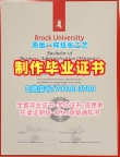加拿大文凭证书在线购买/布鲁克大学毕业证和学位证学位证书电子版原版定做Brock本科学历证书 Brock University Transcript