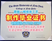 原版定制纽约州立大学新帕尔茨学院电子版毕业证书|New Paltz在读证明信做SUNY New Paltz Master Diploma
