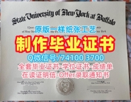 学分不够纽约州立大学布法罗分校文凭证书|UB毕业完成信办University at Buffalo Transcript
