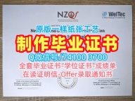 1：1制作惠灵顿理工学院学士学位证书|Weltec毕业证1比1定做Wellington Polytechnic Office Transcript