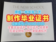 美国本科毕业证书永久可查/新学院毕业证书扫描件本科学位官方认证The New School文凭英文 The New School Degree