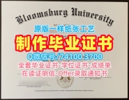 留服认证!1比1复刻布卢姆斯堡大学硕士学位证书美国Bloomsburg本科学历 Bachelor Diploma