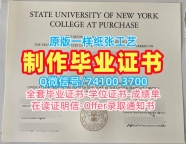 加急办理纽约州立大学帕切斯学院学历学位认证|Purchase毕业证原版定制SUNY Purchase College Degree Certificate