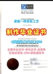 新西兰本科文凭证书快速办理|东部理工学院毕业证购买|EIT学位证书实拍图定做