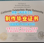购买加州理工州立大学圣路易斯奥比斯波分校硕士文凭证书|Cal Poly SLO学位证书在线购买California Polytechnic State University, San Luis Obispo Bachloer Degree