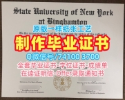 美国本科毕业证书学校原版/纽约州立大学宾汉姆顿分校研究生毕业证书学位证书一模一样Binghamton文凭毕业证 Binghamton University Graduate Certificate