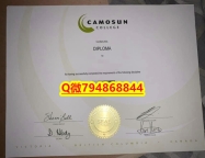 造假文凭证书《Camosun毕业证成绩单2023版】办理本科毕业证