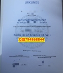 回国递交学历认证《拜罗伊特大学毕业证成绩单案例】办美国学位证