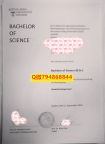 伪造《吉森JLU大学毕业证成绩单靠谱吗?】国外模版