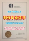 原版仿制新西兰高等教育学院本科毕业证书|NZTC电子版毕业证书制作New Zealand Institute of Advanced Education Bachloer Degree