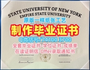 美国成绩单一模一样/纽约州立大学帝国州立大学毕业证书电子版成绩单修改原版复刻SUNY Empire学历证书 SUNY Empire State University Degree