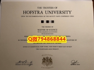 仿原版《Hofstra毕业证成绩单快速拿到】办理研究生假学历