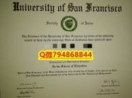办理学士学位证书《USF毕业证成绩单硕士offer】补办研究生假学历